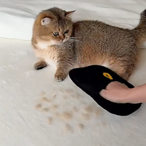 Vistoora™ Groom  Clean Pet Gloves