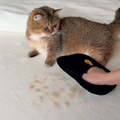 Vistoora™ Groom  Clean Pet Gloves